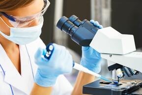 Prüfungsrecht Teipel & Partner 